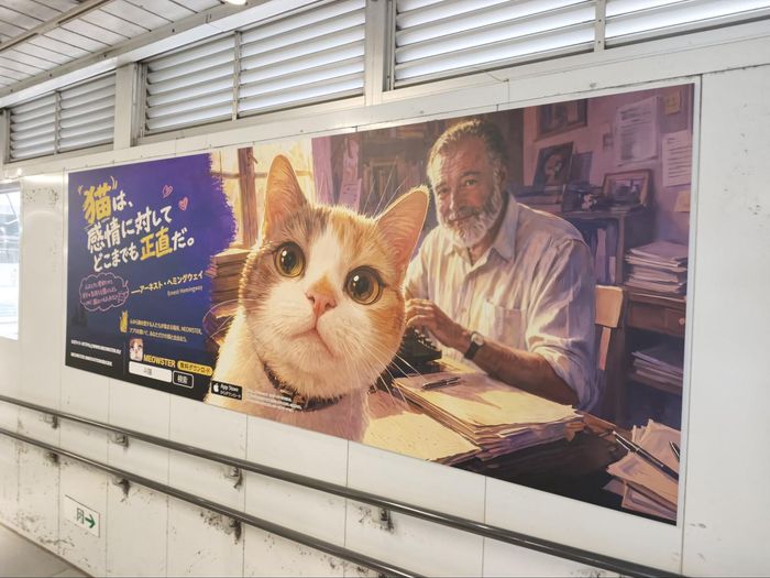 画像が削除されました
